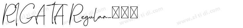 RIGATA Regular字体转换